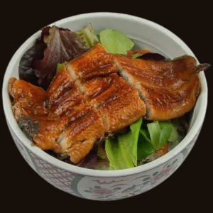 Unagi Don